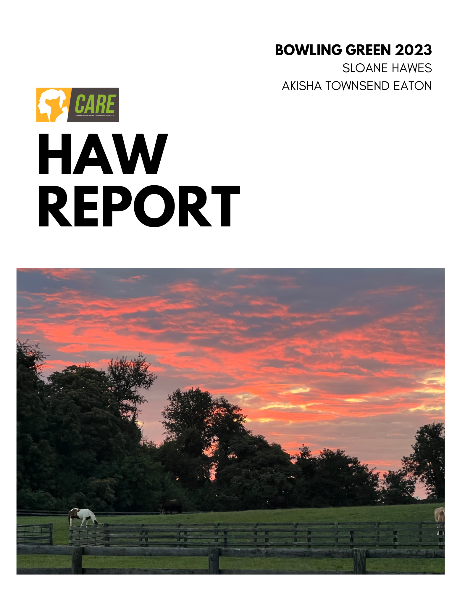 HAW Priorites 2023 Report - Bowling Green
