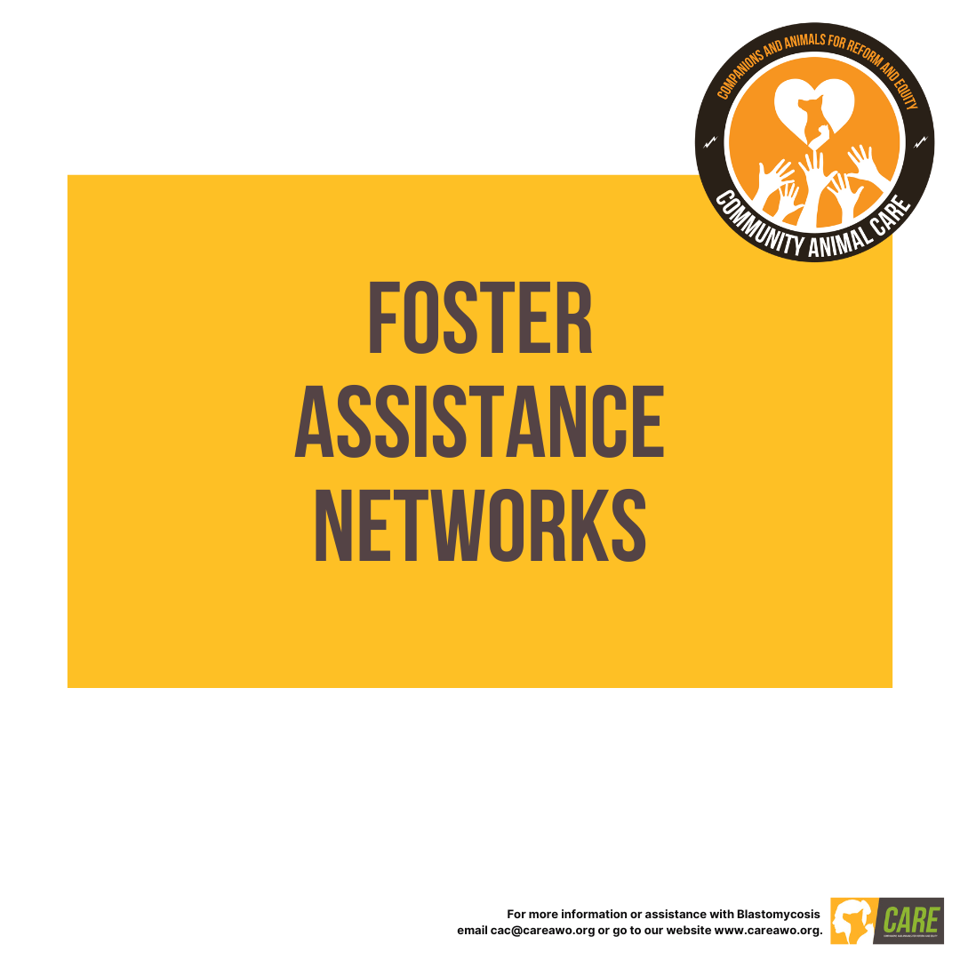 Foster Assistance Network Educational Handout