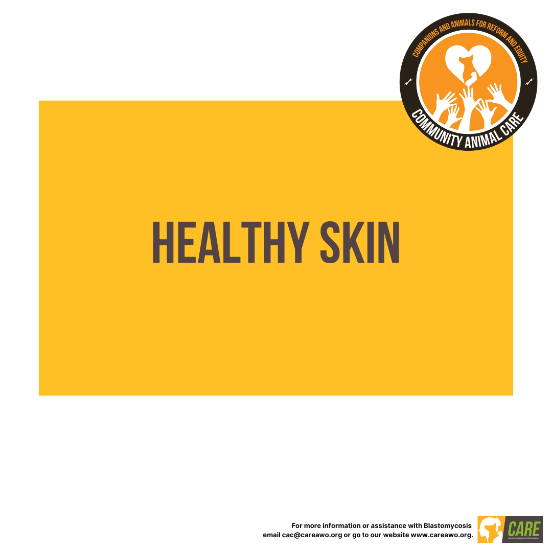 Healthy Skin Educational Handout