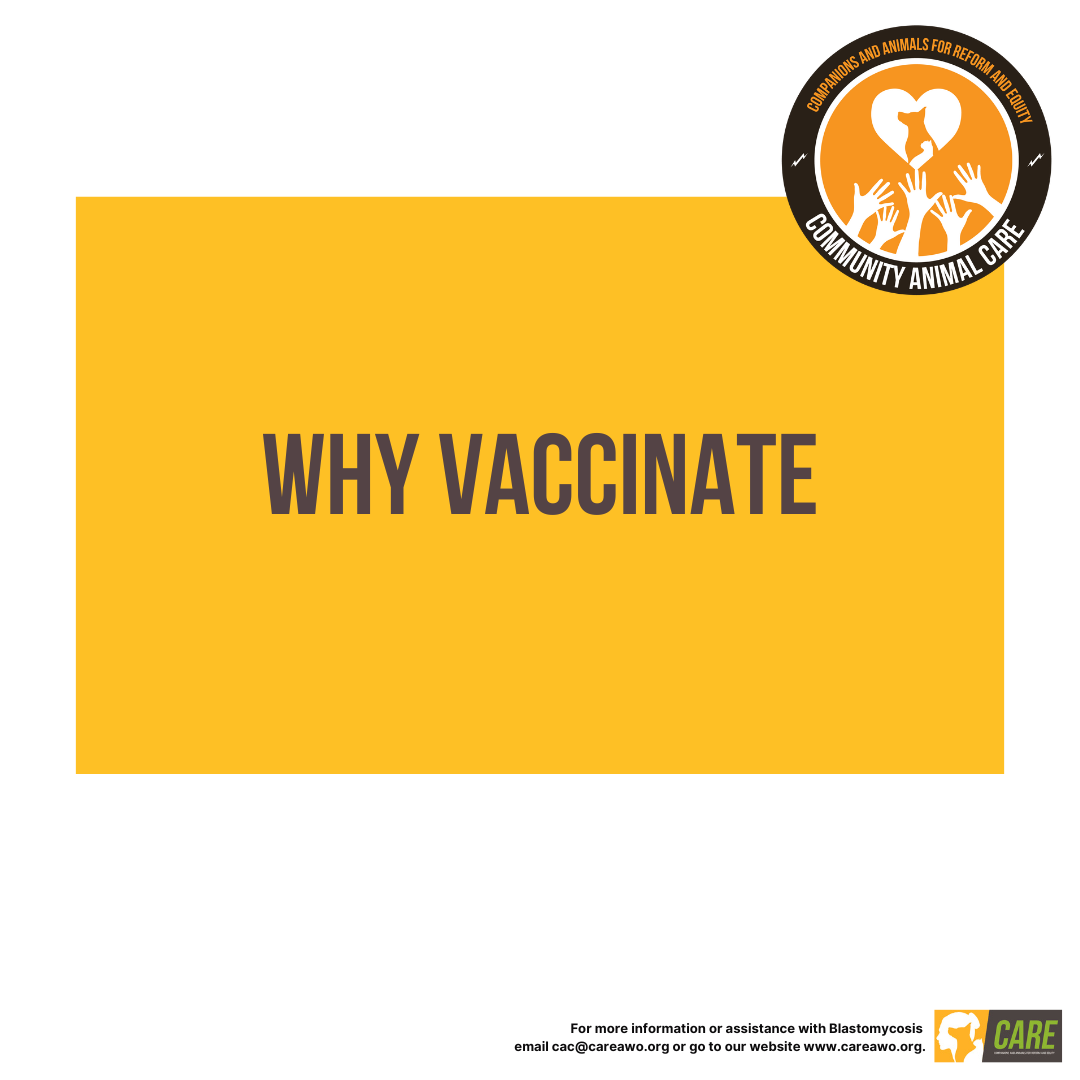 Why Vaccinate Educational Handout