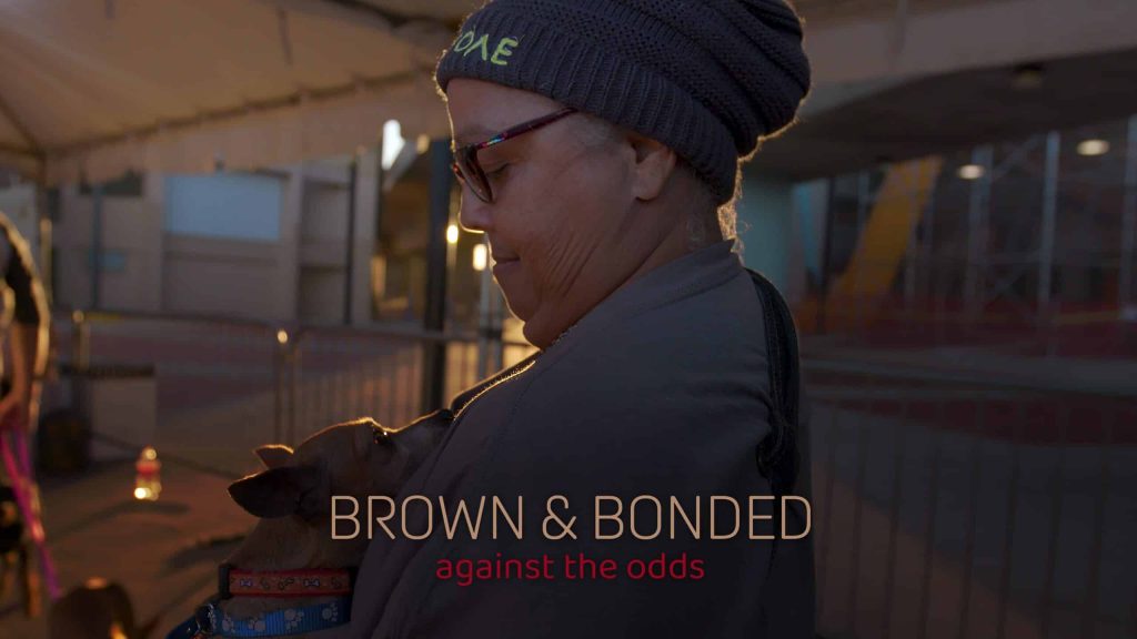 Brown and Bonded Poster